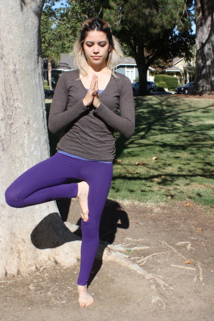 tree pose variation