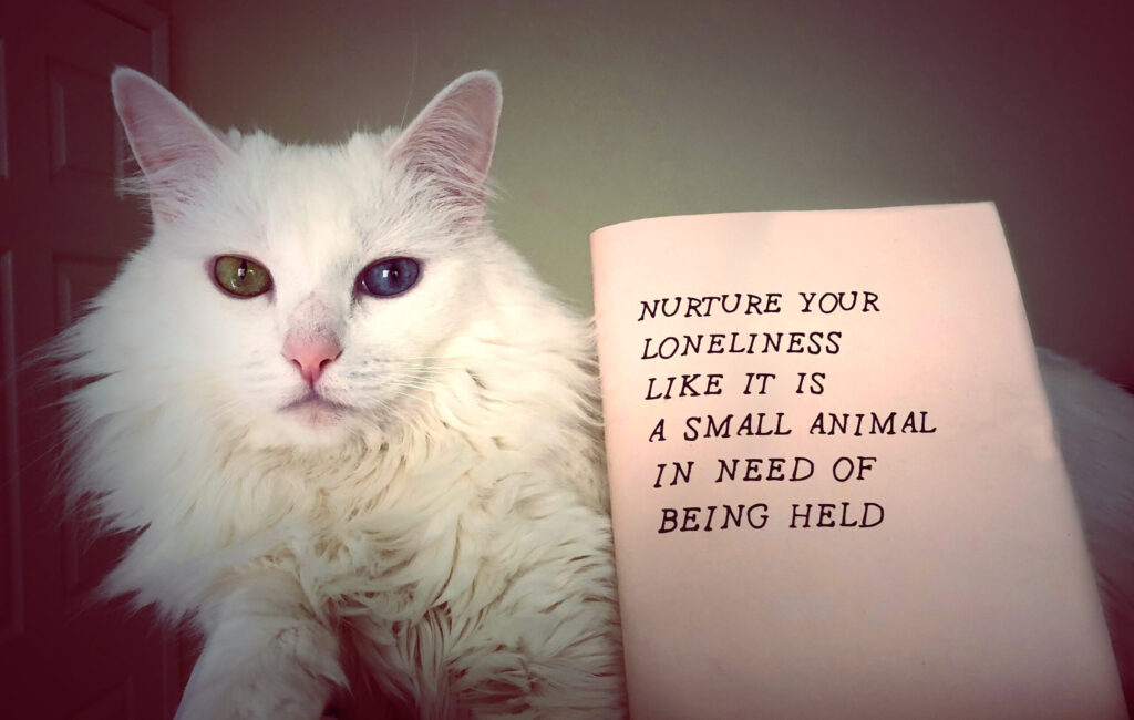 Zine Review: “Nurture Your Loneliness Like it is a Small Animal in Need of Being Held” by Lora Mathis